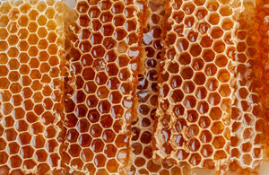 Sweet Honeysuckle