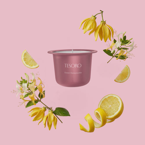 Sweet Honeysuckle