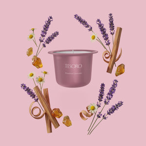 Provence Lavender