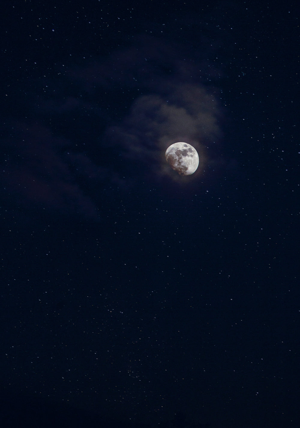 Twilight