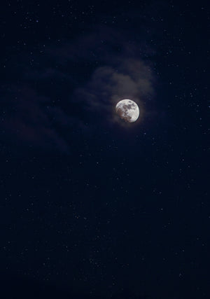 Twilight