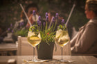 Provence Lavender